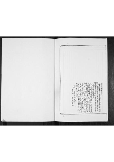 山东李氏-李氏族谱.pdf电子版插图1