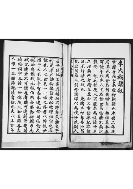 山东李氏-李氏族谱.pdf电子版插图2