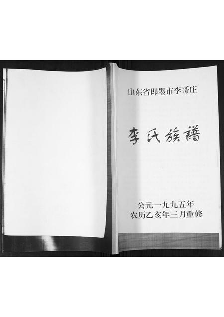 山东李氏-李氏族谱.pdf电子版插图