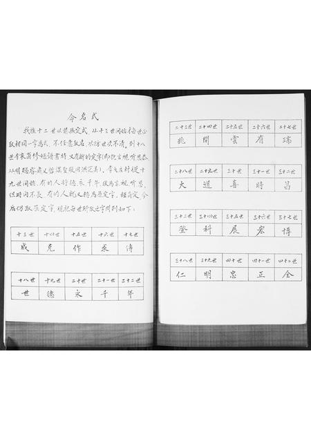 山东李氏-李氏族谱.pdf电子版插图3