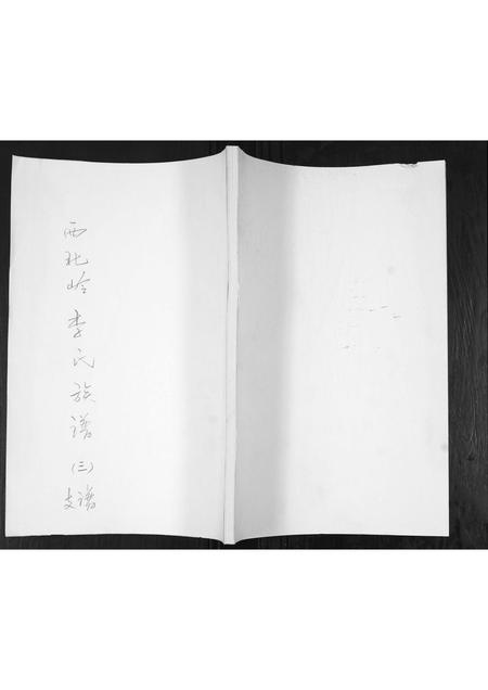 山东李氏-李氏族谱.pdf电子版插图