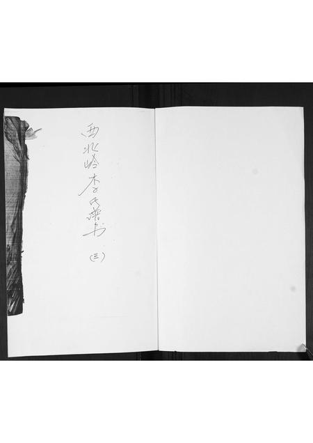 山东李氏-李氏族谱.pdf电子版插图1