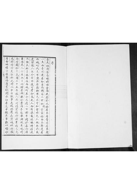 山东李氏-李氏族谱.pdf电子版插图1