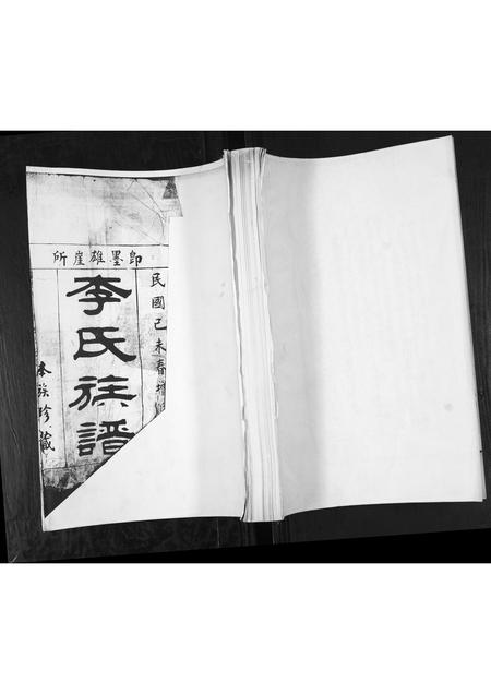 山东李氏-李氏族谱.pdf电子版插图