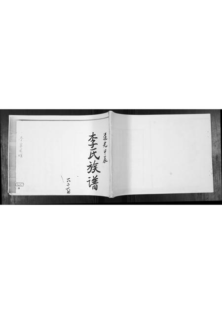 山东李氏-李氏族谱.pdf电子版插图