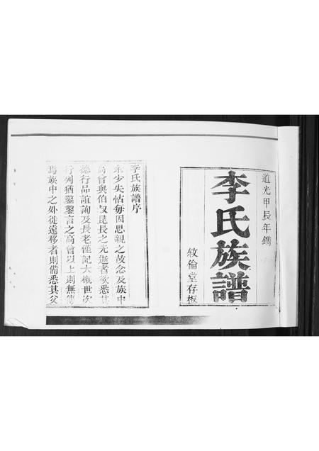 山东李氏-李氏族谱.pdf电子版插图1