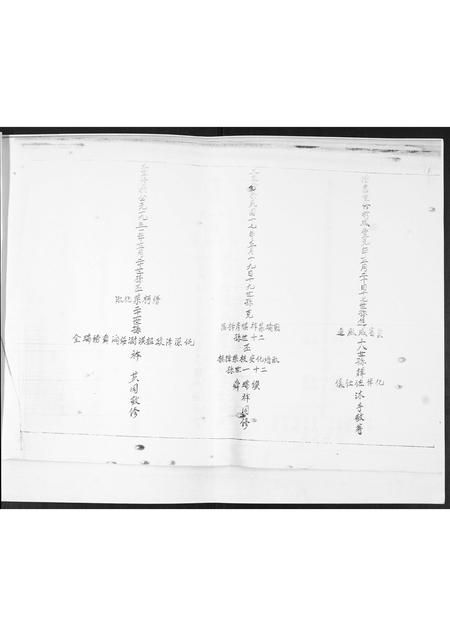 山东李氏-李氏族谱.pdf电子版插图1