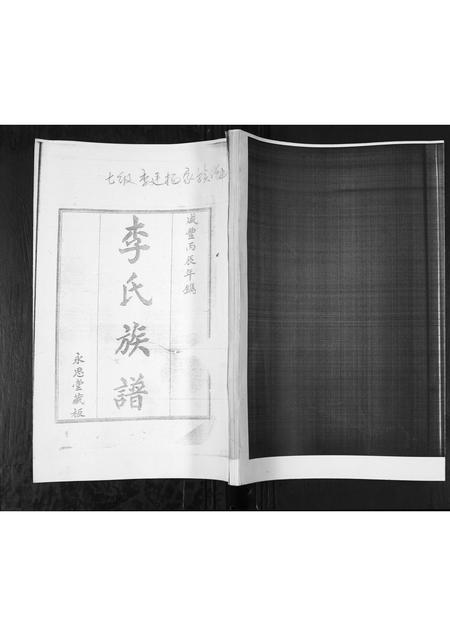 山东李氏-李氏族谱.pdf电子版插图