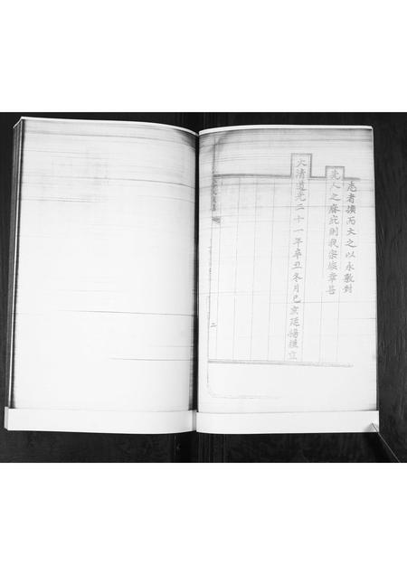 山东李氏-李氏族谱.pdf电子版插图2