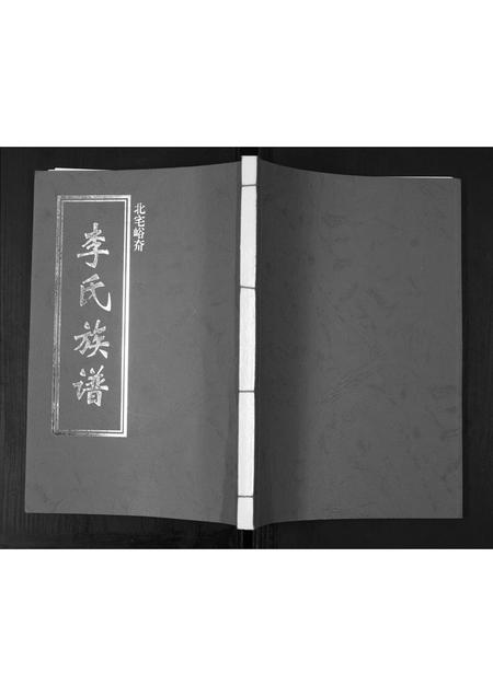 山东李氏-李氏族谱.pdf电子版插图
