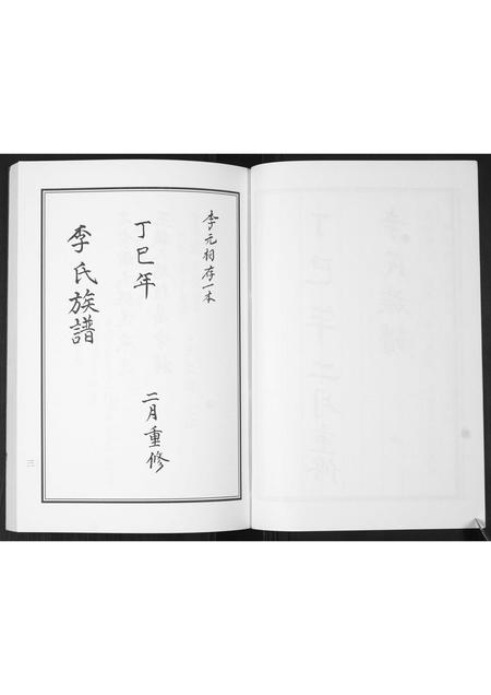 山东李氏-李氏族谱.pdf电子版插图5