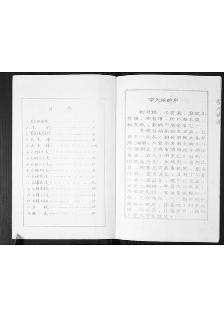 山东李氏-李氏族谱.pdf电子版插图1