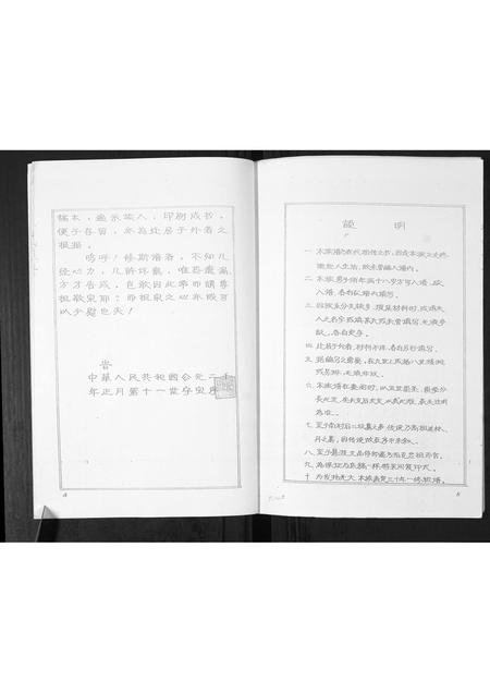 山东李氏-李氏族谱.pdf电子版插图3