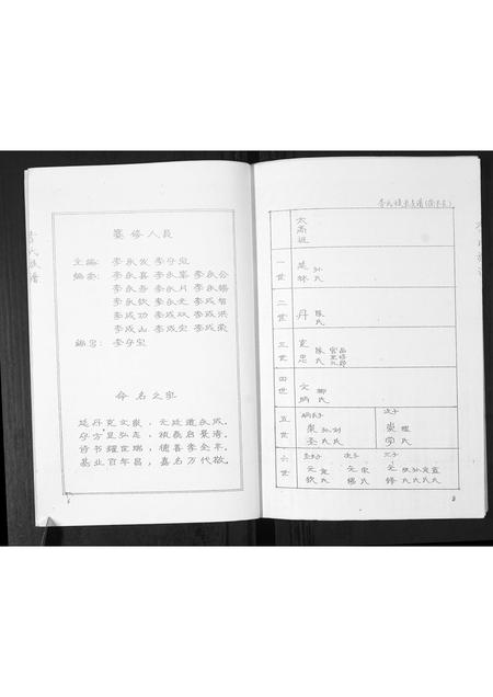 山东李氏-李氏族谱.pdf电子版插图4