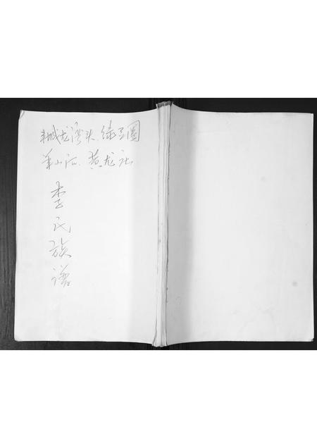 山东李氏-李氏族谱.pdf电子版插图