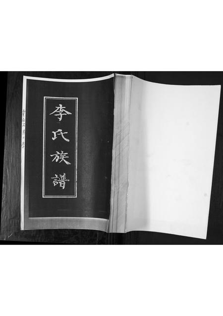 山东李氏-李氏族谱.pdf电子版插图