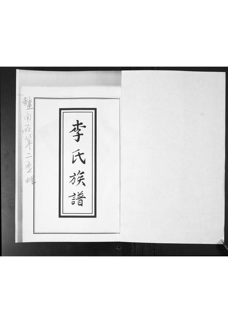 山东李氏-李氏族谱.pdf电子版插图1