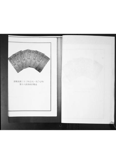 山东李氏-李氏族谱.pdf电子版插图3