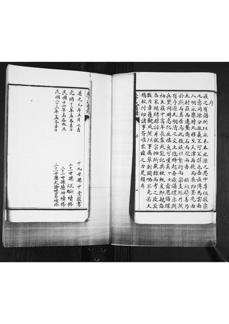 山东李氏-李氏族谱.pdf电子版插图2