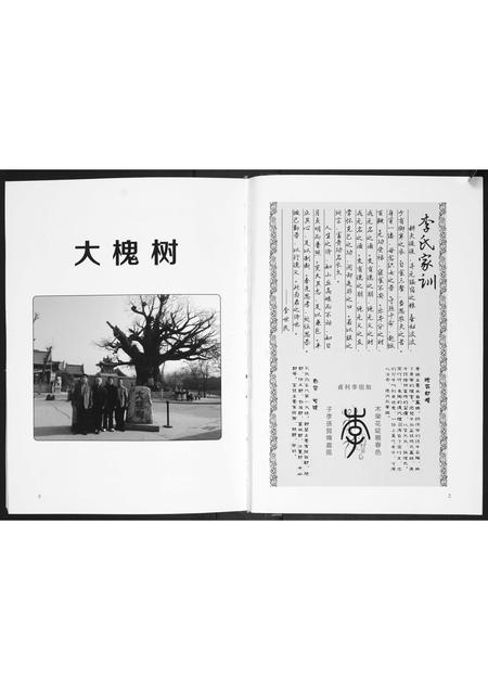 山东李氏-李氏族谱.pdf电子版插图2
