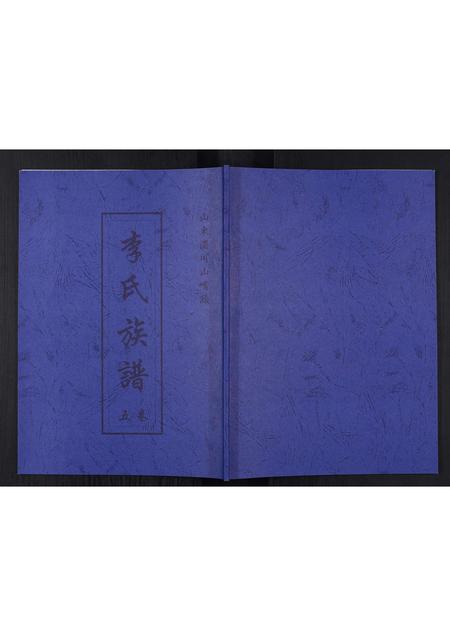 山东李氏-李氏族谱.pdf电子版插图