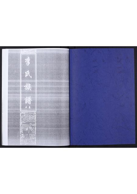 山东李氏-李氏族谱.pdf电子版插图1