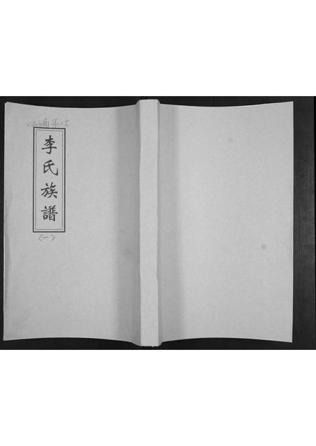 山东李氏-李氏族谱.pdf电子版插图
