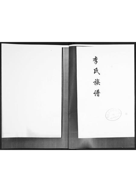 山东李氏-李氏族谱.pdf电子版插图1