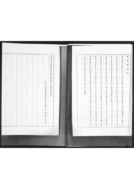 山东李氏-李氏族谱.pdf电子版插图5