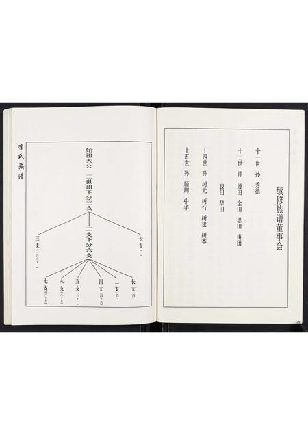 山东李氏-李氏族谱.pdf电子版插图3