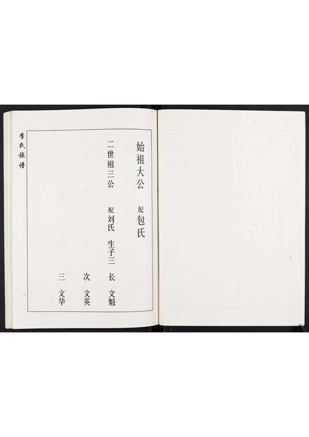 山东李氏-李氏族谱.pdf电子版插图4