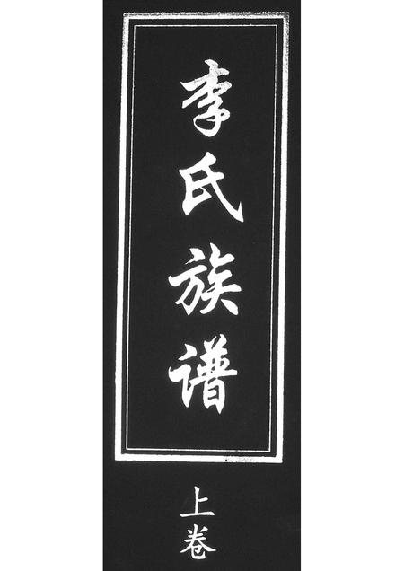 山东李氏-李氏族谱[2卷].pdf电子版插图