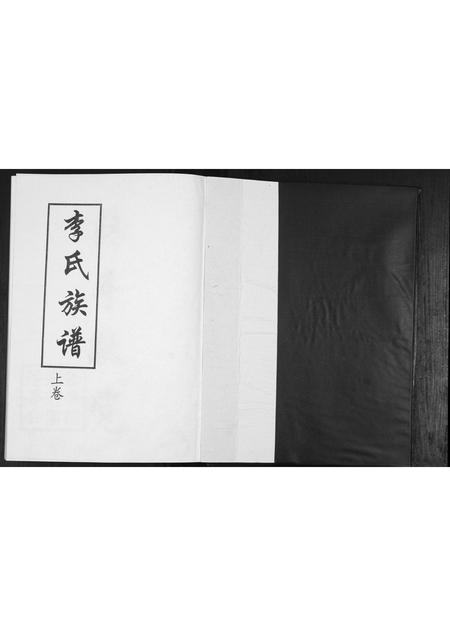 山东李氏-李氏族谱[2卷].pdf电子版插图1