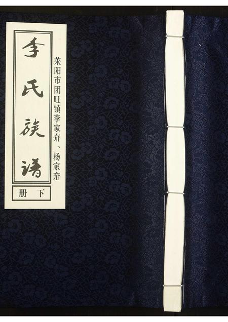 山东李氏-李氏族谱[上下册](别名：Li Shi Zu Pu).pdf电子版插图