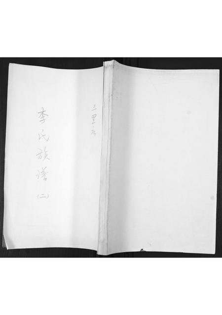 山东李氏-李氏族谱[不分卷].pdf电子版插图