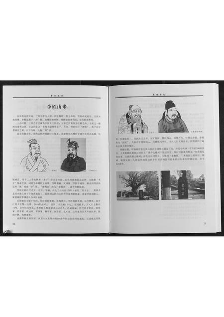山东李氏-李氏族谱[不分卷].pdf电子版插图5