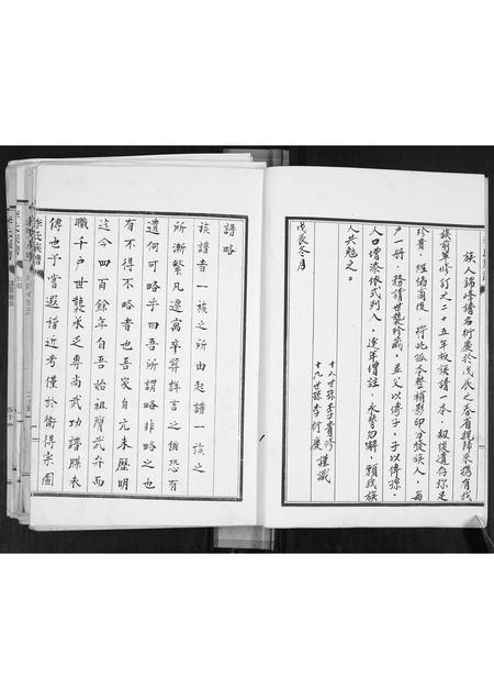 山东李氏-李氏族谱[不分卷].pdf电子版插图2