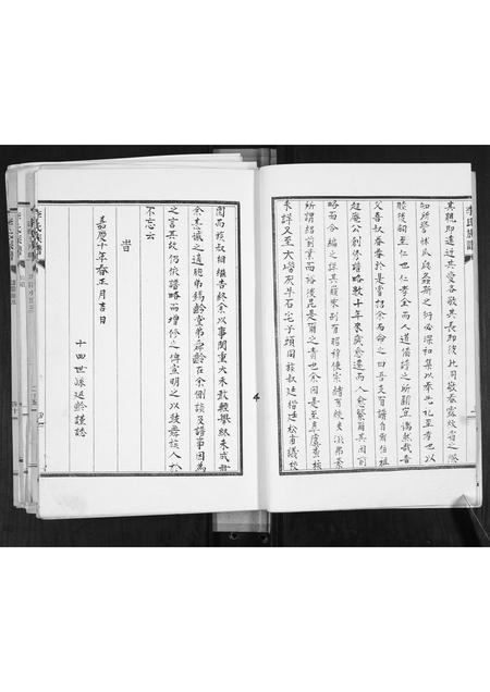 山东李氏-李氏族谱[不分卷].pdf电子版插图5