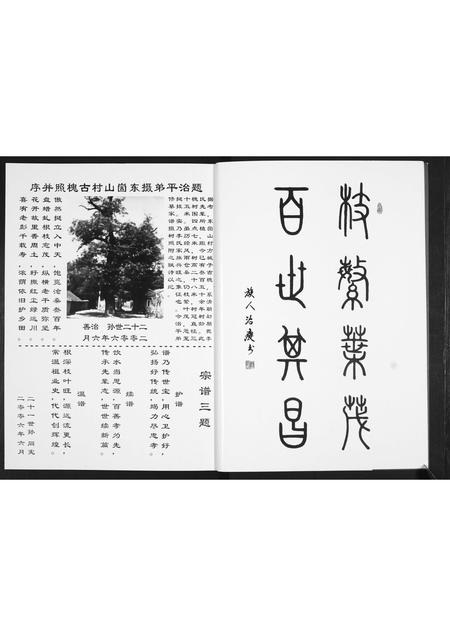 山东李氏-李氏祖谱.pdf电子版插图3