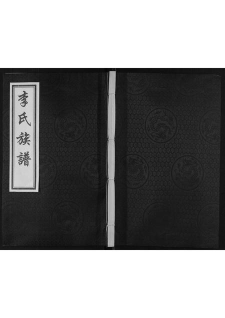 山东李氏-李氏祖谱.pdf电子版插图