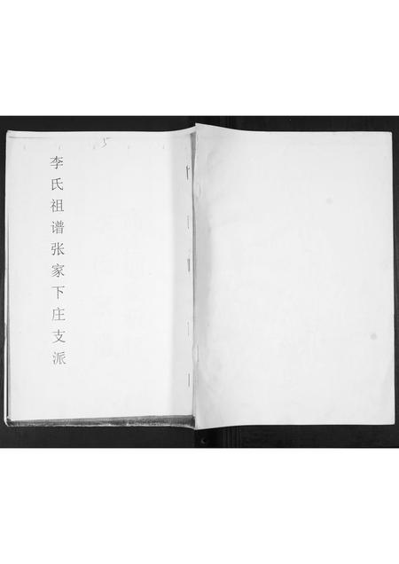 山东李氏-李氏祖谱张家下庄支派.pdf电子版插图
