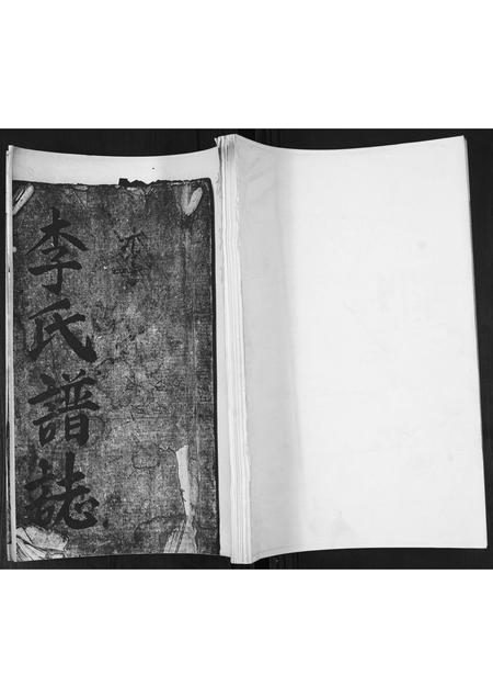 山东李氏-李氏谱志.pdf电子版插图
