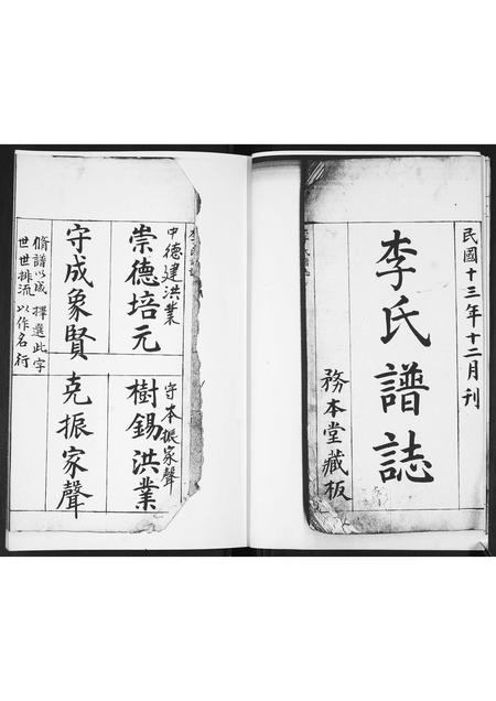 山东李氏-李氏谱志.pdf电子版插图3
