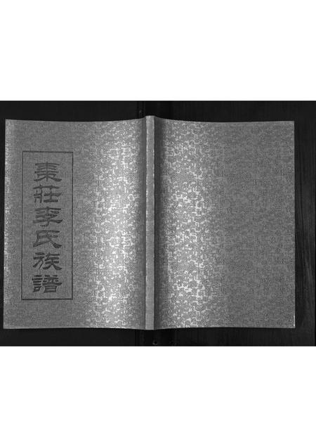 山东李氏-枣庄李氏族谱[不分卷].pdf电子版插图