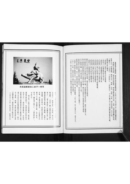 山东李氏-枣庄李氏族谱[不分卷].pdf电子版插图2