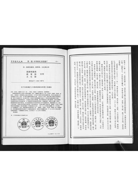 山东李氏-枣庄李氏族谱[不分卷].pdf电子版插图4