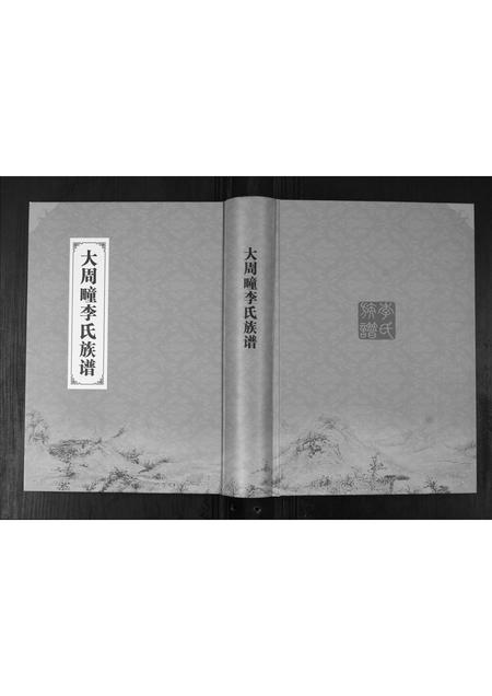 山东李氏-大周疃李氏族谱[不分卷].pdf电子版插图