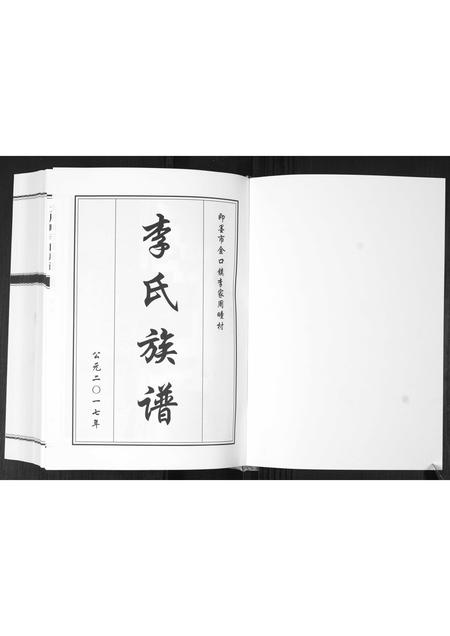 山东李氏-大周疃李氏族谱[不分卷].pdf电子版插图1