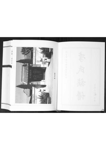 山东李氏-大周疃李氏族谱[不分卷].pdf电子版插图2