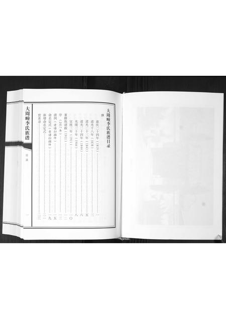山东李氏-大周疃李氏族谱[不分卷].pdf电子版插图3